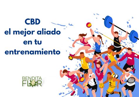 Beneficios Del Cbd En El Deporte Bendita Flor