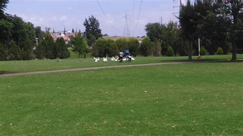 Parque El Cedazo Aguascalientes