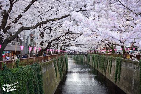 【2024東京櫻花景點推薦】東京賞櫻排行榜東京賞櫻8個櫻花景點~穿和服賞櫻花玩樂攻略