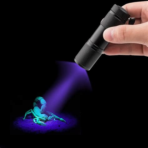 UV Flashlight Ultraviolet Led Flashlight Ultra Violet Flashlight Torch ...