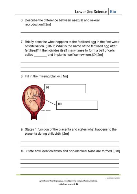 Lower Sec Human Sexual Reproduction Quiz 2