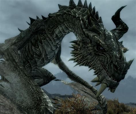 Paarthurnax Skyrim The Elder Scrolls Wiki Fandom Powered By Wikia