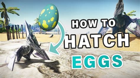 How To Hatch Eggs Ark Survival Evolved YouTube