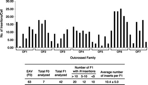 Germ Line Transmission Rates Tested In Selected Founders Seven Download Scientific Diagram