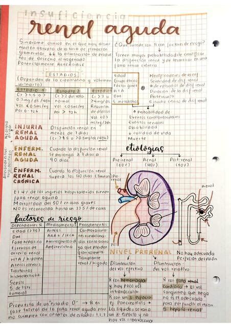 Res Menes De Insuficiencia Renal Cr Nica Descarga Apuntes De