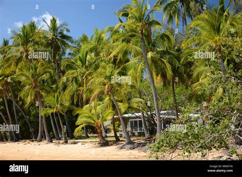 Cockle Bay Magnetic Island Queensland Stock Photo Alamy