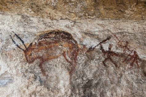 Por qué se extinguieron los neandertales Mis Animales