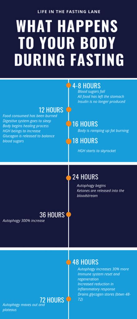 How Long To Fast For Autophagy Benefits