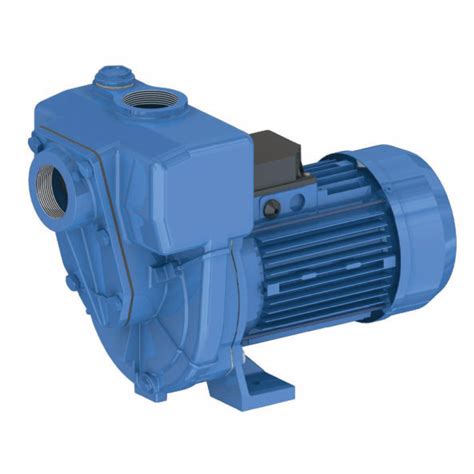 Gmp Cast Ion Self Priming High Head Pump 2 G2tmk A M Eael 230v