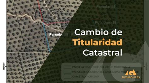 Cuanto Cuesta Cambiar De Nombre Una Finca Rustica Actualizado Octubre