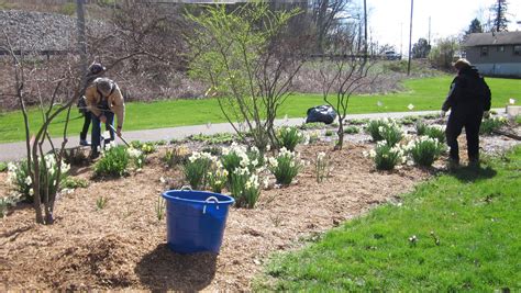 Three Community Cleanup Days Scheduled This Month In Coshocton County