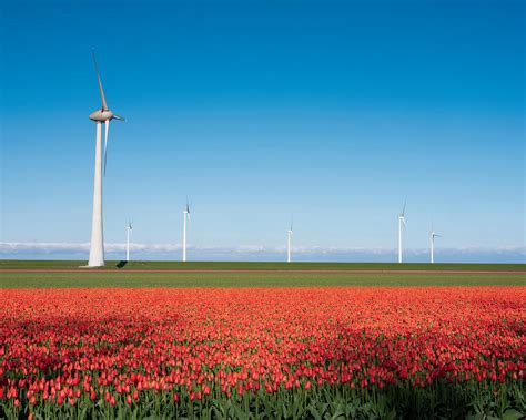 Foreign companies help shape Dutch economy in 2023