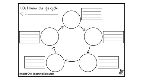 Life Cycle Templates 1