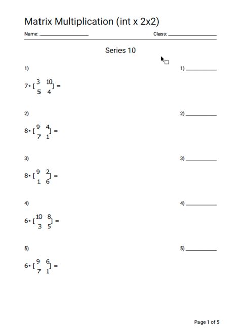 Math Matrix Multiplication Int Times 2x2 Matrix Worksheet Series 10 Geek Slop Online