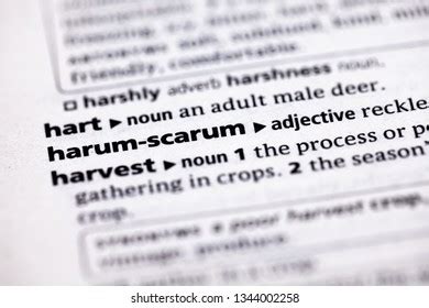 14 Harum Scarum Images, Stock Photos & Vectors | Shutterstock