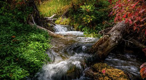 The Giving Stream Wasatch Mountains Utah Photograph By Tl Mair Fine