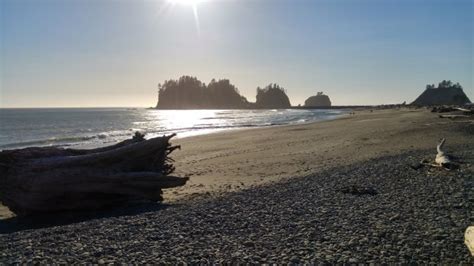 Quileute Oceanside Resort And Rv Park Campground La Push Washington