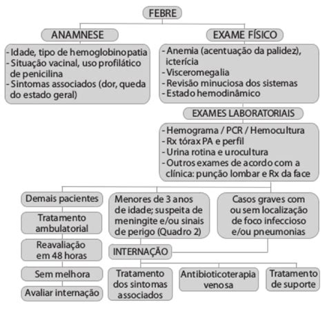 Febre na doença falciforme como manejar PEBMED