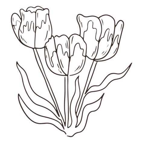 Vintage Tulip Flowers Stroke Icon Png And Svg Design For T Shirts