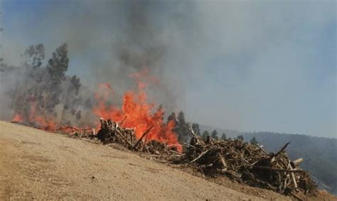 Conaf Proh Be Quemas De Desechos Para Prevenir Incendios Diario La Uni N