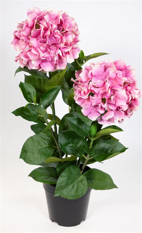 Garten Hortensie Cm Rosa Pink Im Topf Ga Kuenstliche Blumen Pflanzen