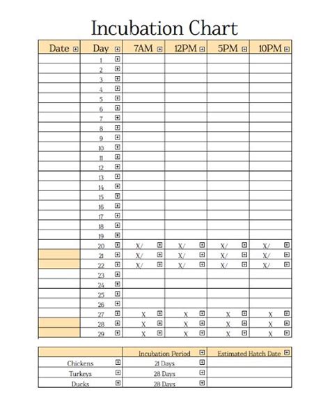 Quail Egg Incubation Chart