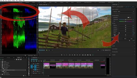 Limitations in the Lumetri Color Panel - PremierePro.net