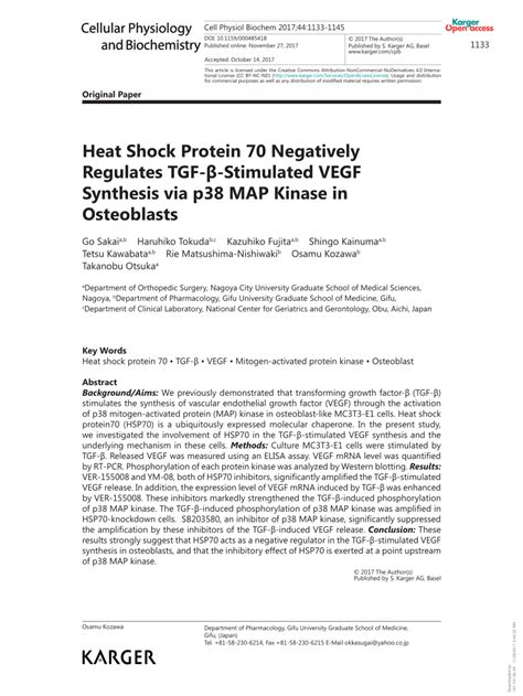 PDF Heat Shock Protein 70 Negatively Regulates TGF β Stimulated VEGF