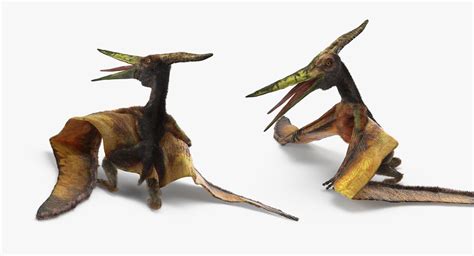 Pteranodon Flying Carnivorous Reptile Standing Pose With Fur D Model