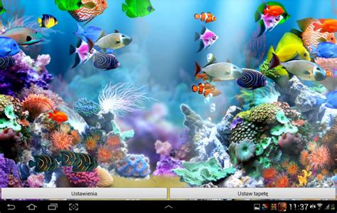 Aquarium Live Wallpaper Windows 10 - WallpaperSafari