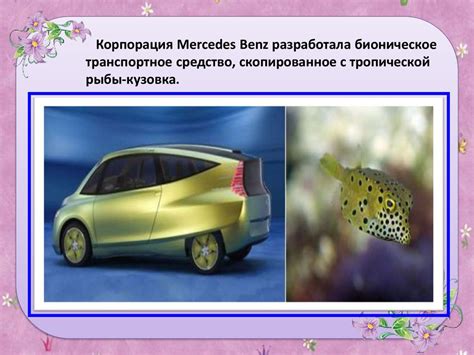 Бионические формы в дизайне - online presentation