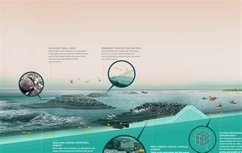 Living Breakwaters: Design and Implementation - SCAPE