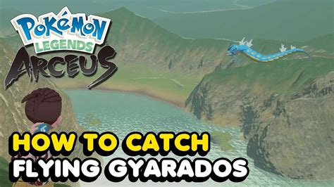 How To Catch The Flying Gyarados In Pokemon Legends Arceus Location