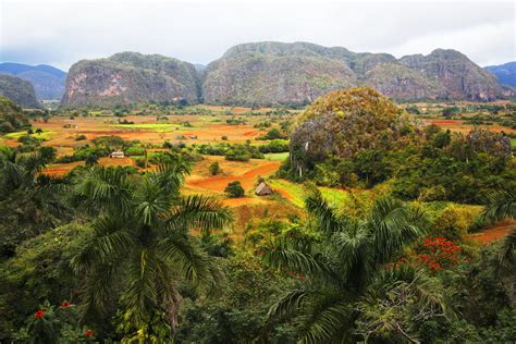 Pinar Del Río Cuba Informazioni Per Visitare La Città Lonely Planet