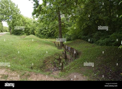 Verdun France EU Remains of the First World War trenches Stock Photo - Alamy