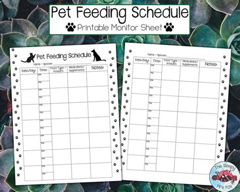 Printable Pet Feeding Schedule Pet Monitoring Sheet Etsy