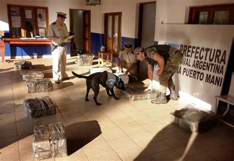 Secuestran Casi Media Tonelada De Marihuana En Misiones