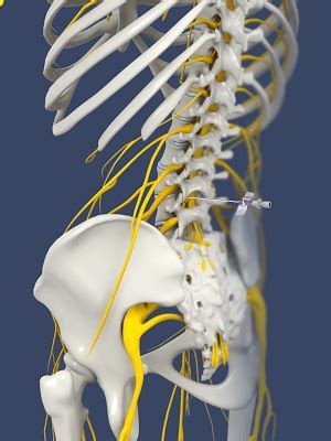 Lumbar Sympathetic Block Oklahoma City Ok Lower Back Pain Tulsa Ok