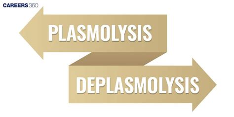 Plasmolysis and Deplasmolysis: Stages, Types & Examples