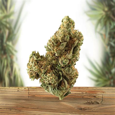 Grape Valley Kush Strain Potent Indica