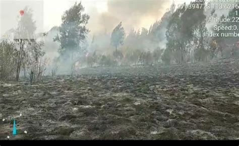 Luas Kebakaran Di Kawasan Hutan Gunung Argopuro Capai Hektar