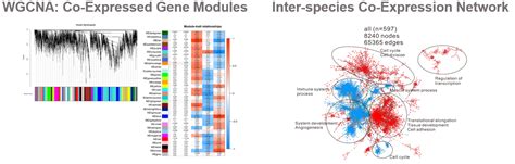 Ngs Data Analysis Crown Bioscience