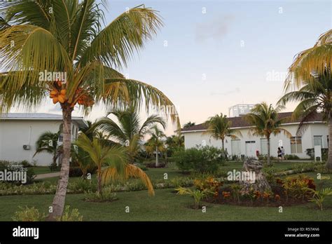 Dawn At Caribbean Resort Stock Photo Alamy