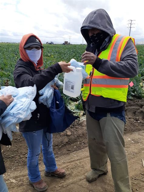 A New Coalition Helps Farmworkers Cope With Covid California State