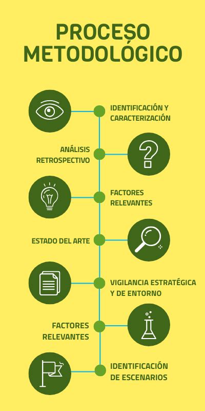 Proceso Metodol Gico