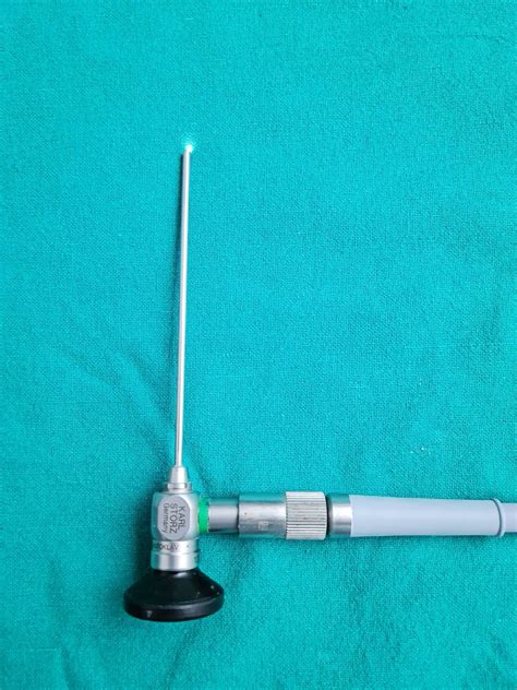 Therapeutic Nasal Endoscopy