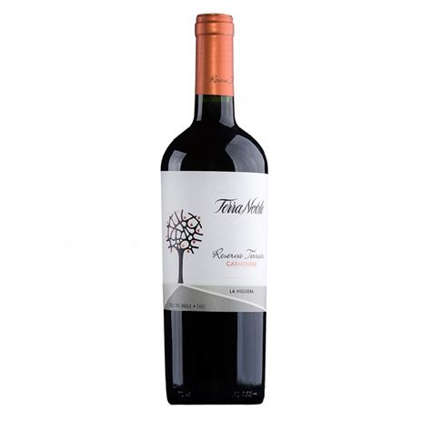 TERRANOBLE RESERVA TERROIR CARMENERE LA HIGUERA MAULE VALLEY 1