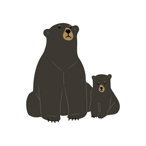 American Black Bear 26178766 Vector Art at Vecteezy