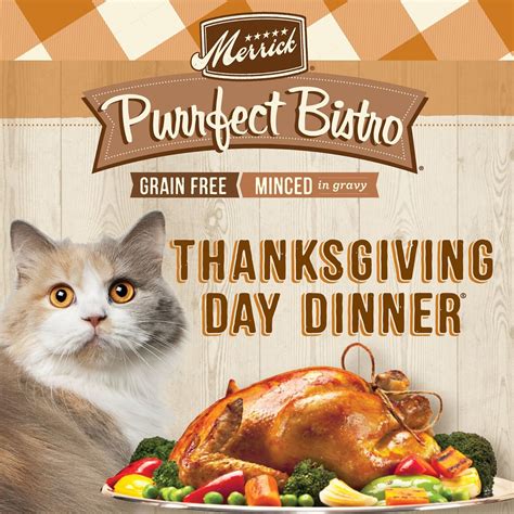 Merrick Purrfect Bistro Grain Free Thanksgiving Day Dinner Minced In Gravy Canned Cat Food 5 5