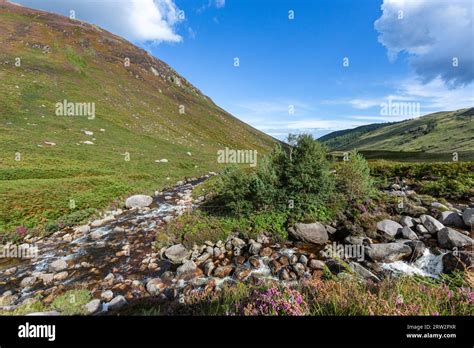 Glenrosa Waters Glen Rosa Goat Fell Isle Of Arran Firth Of Clyde